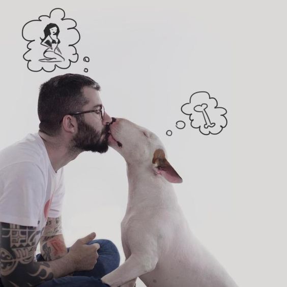 Bull Terrier Jimmy Choo with a drawing on the wall thinking of bone while kissing its owner with a drawing on the wall thinking of a girl in swimsuit