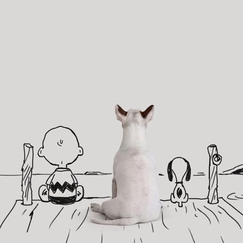 Bull Terrier Jimmy Choo sitting on the wooden floor with a kid and dog