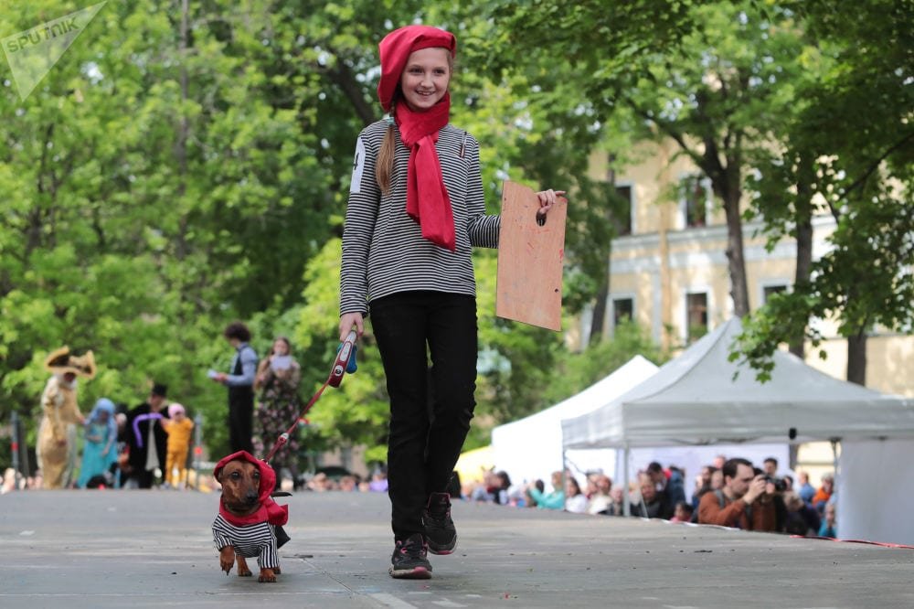 Dachshund wearing matchy outfit with a young girl while walking on the stage