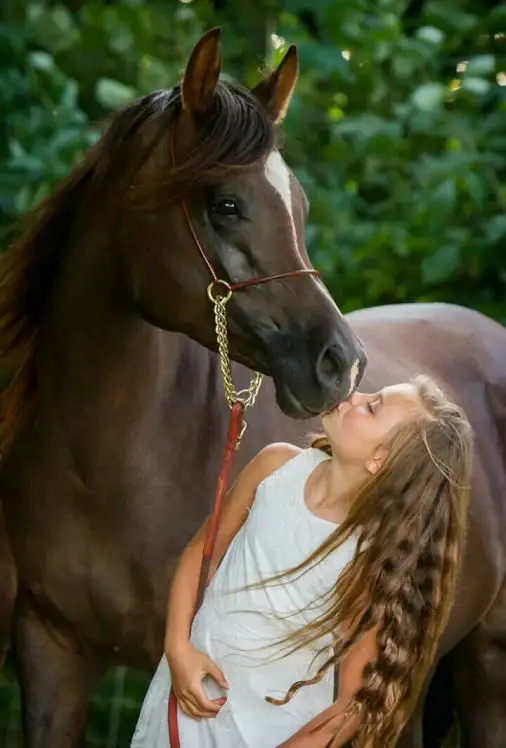 a little girl kissing the mouth of a horse standing next to her