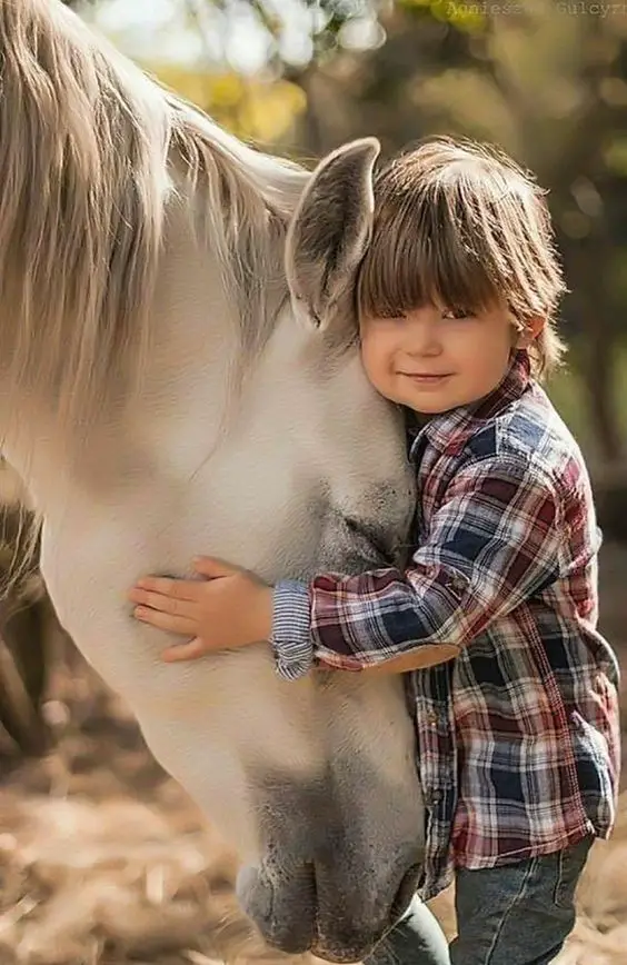 A little boy hugging the head of a horse standing in front of him