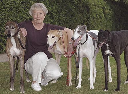 a woman in the yard with her four Greyhounds
