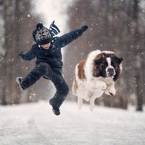 A Saint Bernard and a young boy jumping at the park during winter