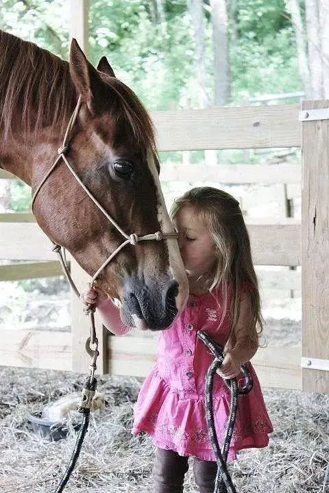 a little girl kissing the face of a horse