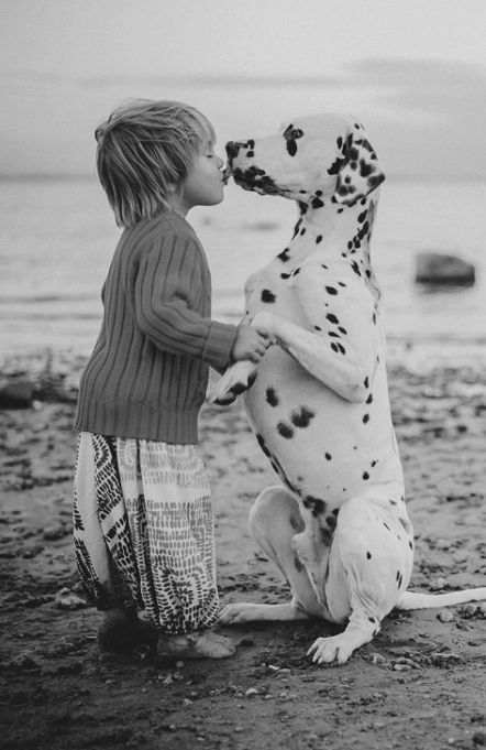 a Dalmatian sitting at the beach while licking the mouth of the kid standing in front of him