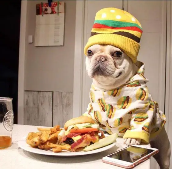 A French Bulldog wearing a burger outfit at the table behind the burger and fries on the plate