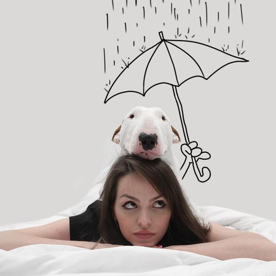 a girl on the bed with an Bull Terrier Jimmy Choo face's on top of its head with a drawing of a hand holding an umbrella while raining