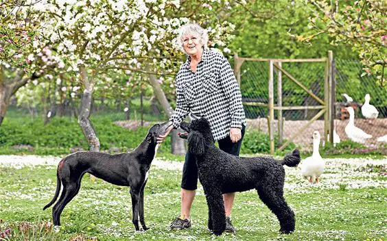 Germaine Greer at the park with her Greyhound and Poodle