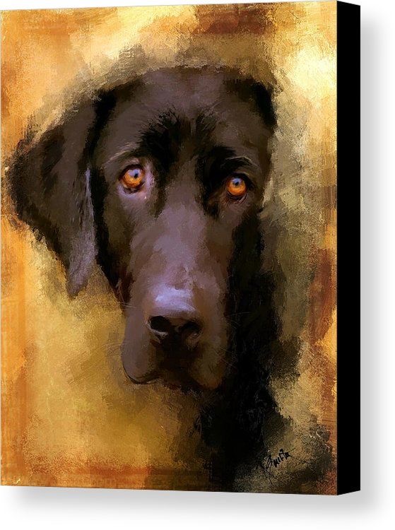 chocolate brown Labrador Retriever soft painting
