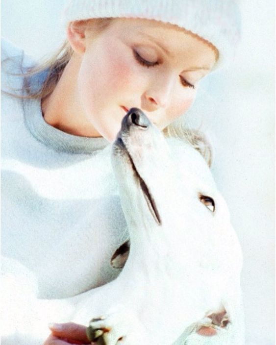 Bo Derek kissing her Greyhound