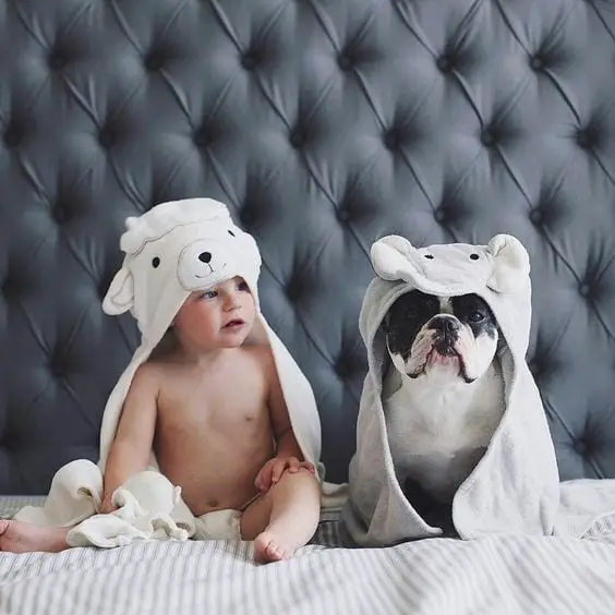 A French Bulldog sitting on the bed next to a child