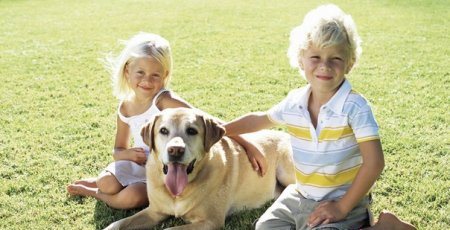 a boy and a girl sitting on the grass with a yellow Labrador Retriever lying down between them