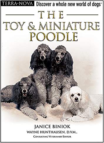 book cover with title- The Toy & Miniature Poodle (Terra-Nova), and black and white photo of four adult Poodles