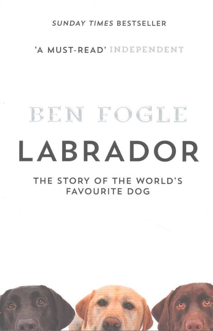 photo of three peeking Labrador Retrievers and with title - Labrador, the story of the world's favourite dog