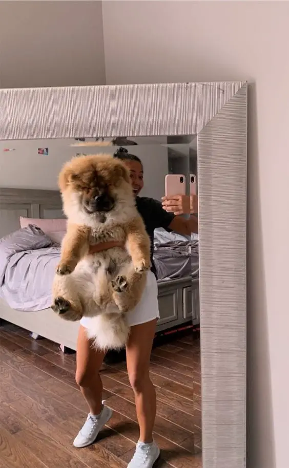 A woman doing a mirror selfie while carrying her Chow Chow