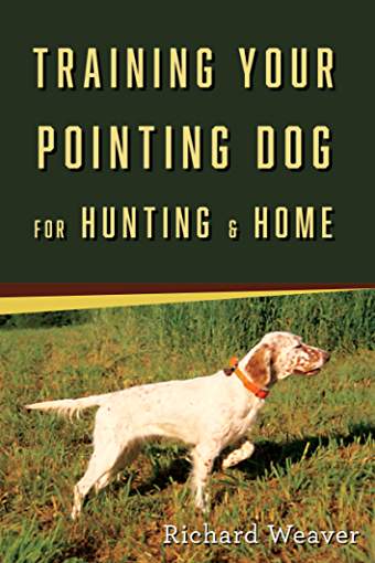 A Pointing Dog standing on the grass under the sun and with title - Training Your Pointing Dog for Hunting & Home