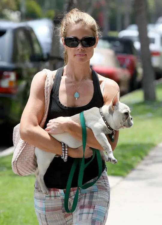 Denise Richard walking in the street while carrying her French Bulldog