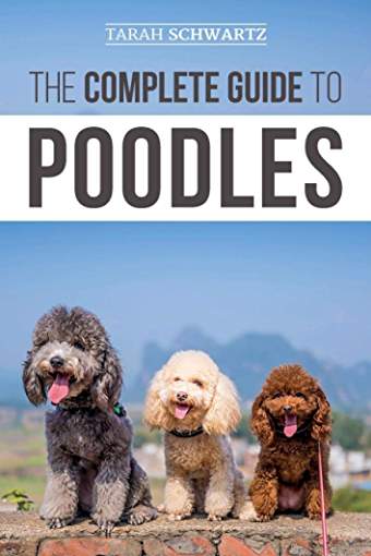 book cover with title- The Complete Guide to Poodles: Standard, Miniature, or Toy – Learn Everything You Need to Know to Successfully Raise Your Poodle From Puppy to Old Age, and a photos of three Poodles sitting on top of a brick wall