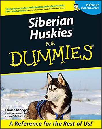 A book cover with a photo if a Husky in snow titled 