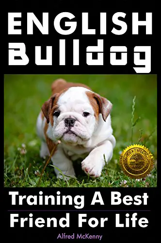 Book cover with a photo of an English Bulldog puppy walking in the grass and titled as 