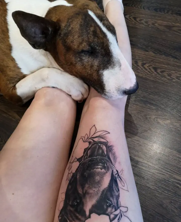 3D face of Bull Terrier with outline of leaves tattoo on the thighs