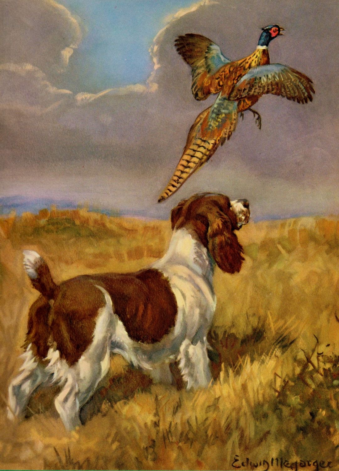 A Brittany standing in the field of grass with a bird flying on top of him