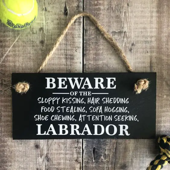 A door sign that says - Beware of the sloppy kissing, hair shedding, food stealing, sofa hogging, shoe chewing, attention seeking, Labrador