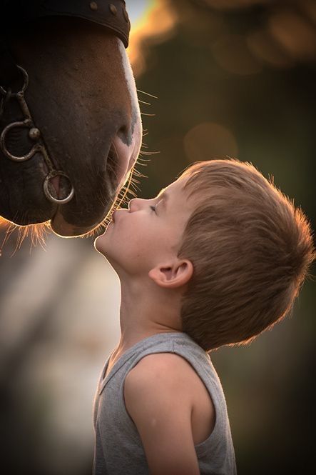 a little boy kissing the nose of the horse