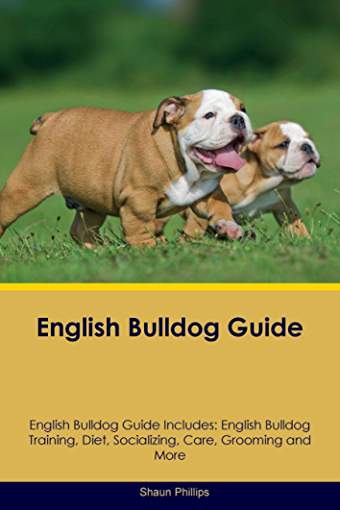 Book cover with a photo of an adult and puppy English Bulldogs walking in the grass and titled as 