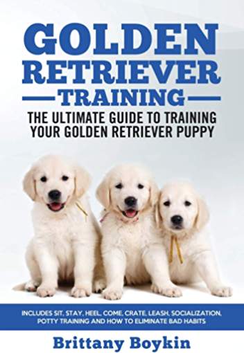 book cover with title Golden Retriever Training – The Ultimate Guide to Training Your Golden Retriever Puppy and a photo of three Golden Retriever puppies siting next to each other