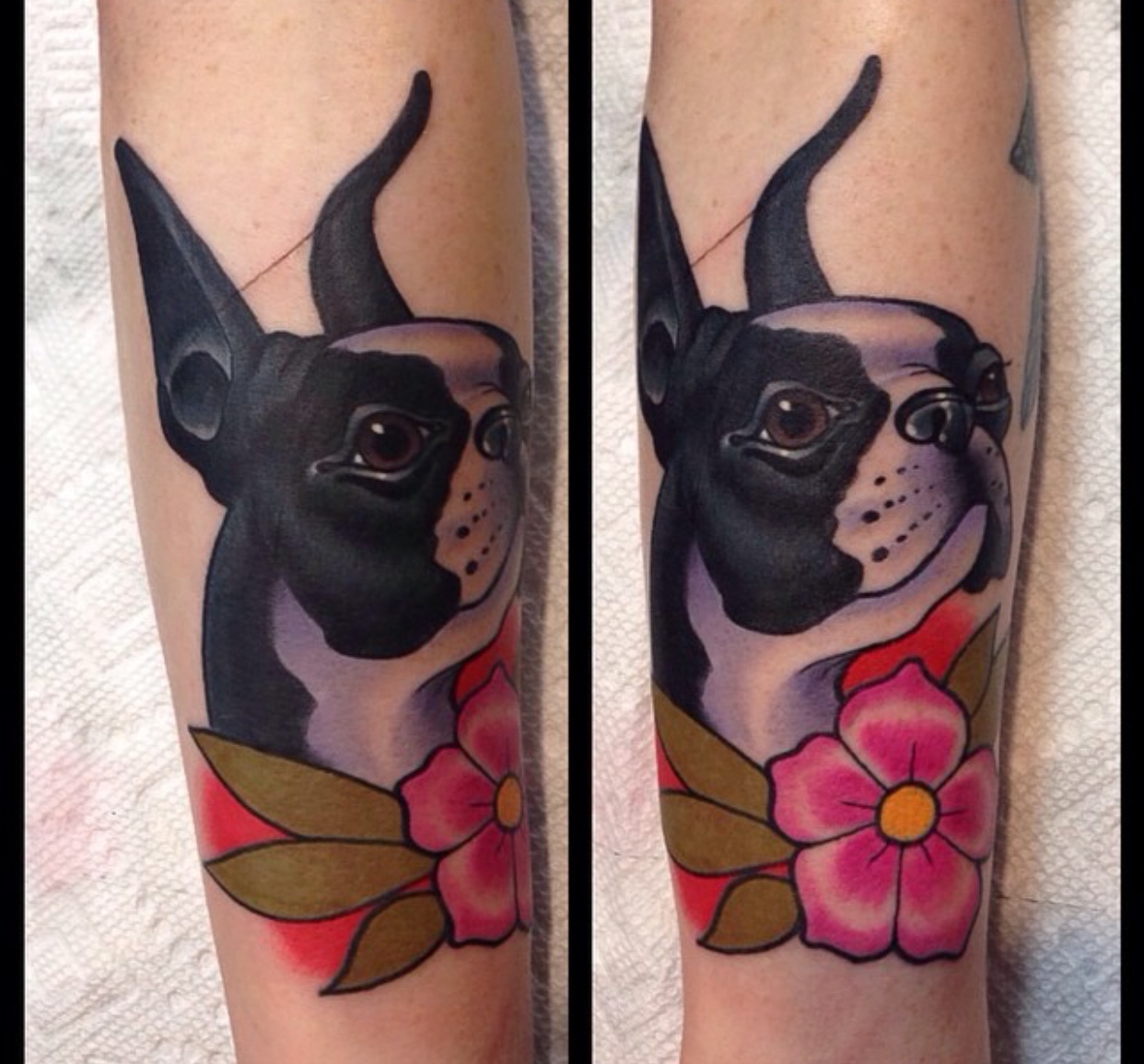 black and white patterned looking up Boston Terrier with bright pink flower and green leaves tattoo on the forearm