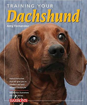 Book cover with a photo Dachshund with in its begging face and titled as 