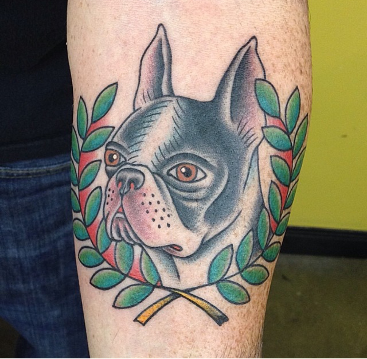 animated face of Boston Terrier with branch of green leaves tattoo on the forearm