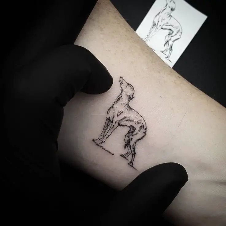Greyhound small tattoo on the forearm