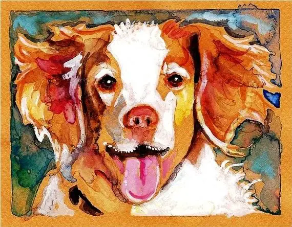 An artistic watercolor painting of a Brittany