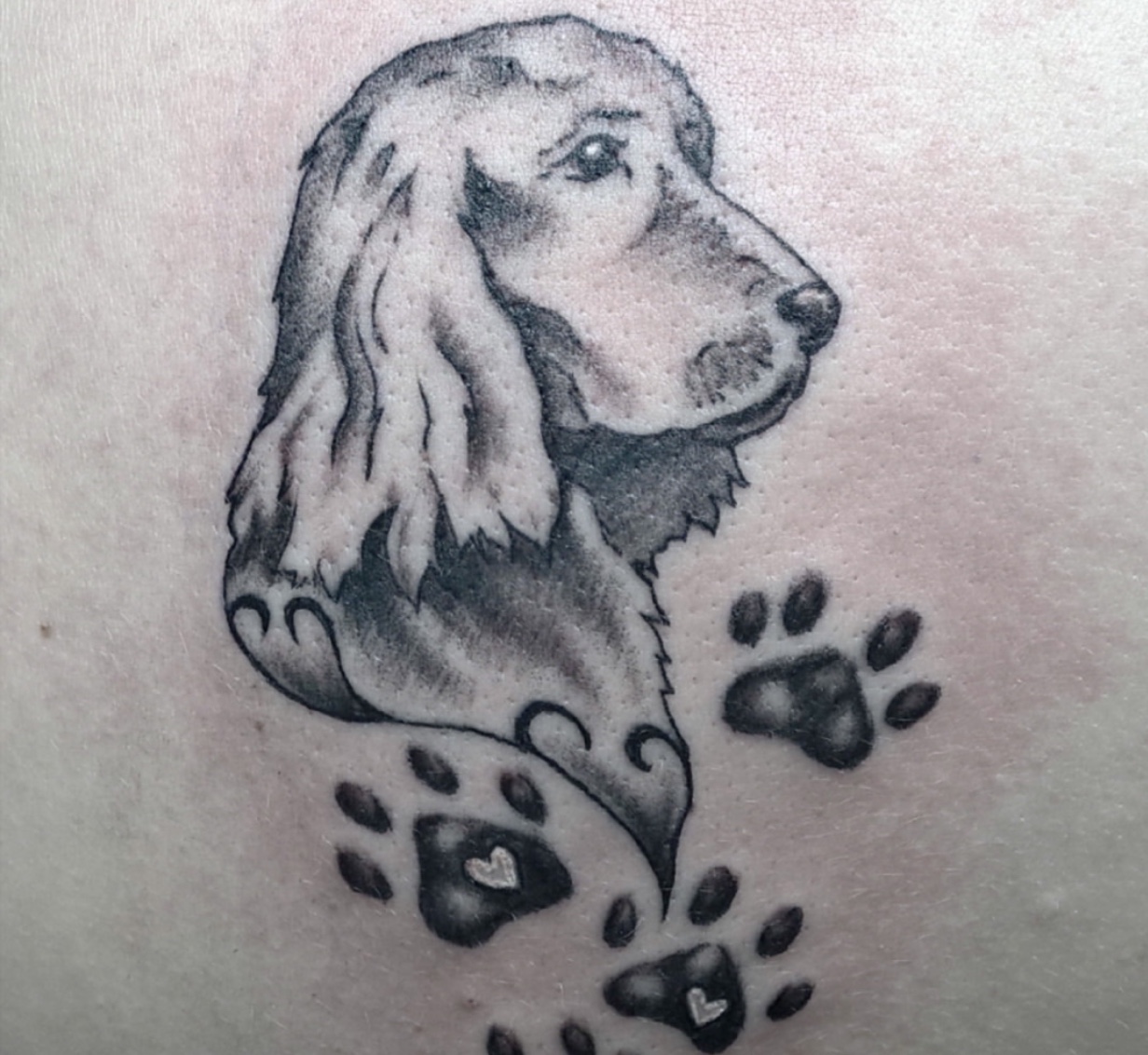 side view face of a Cocker Spaniel with paws tattoo