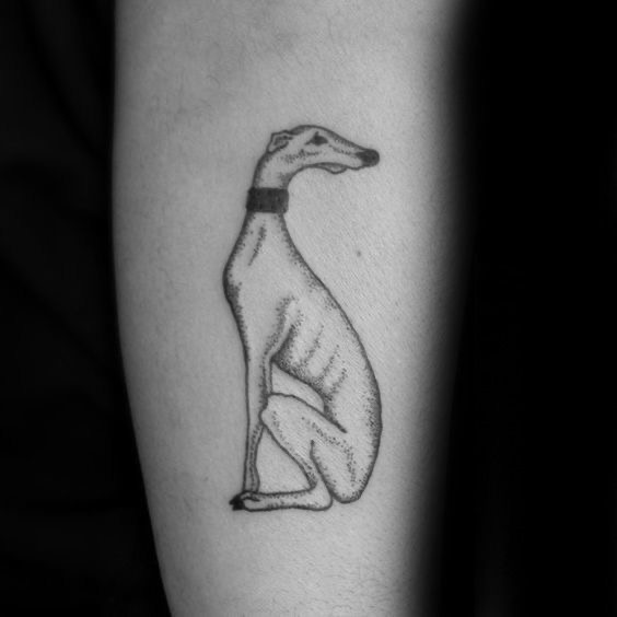 skinny sitting Greyhound tattoo on the leg