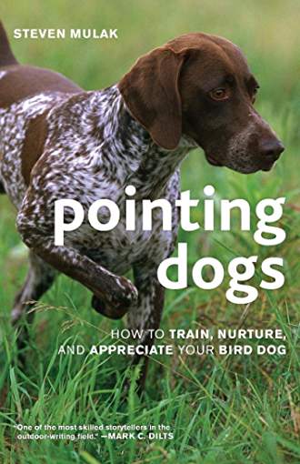 A Pointing Dog walking in the grass and with title - Pointing Dogs: How to Train, Nurture, and Appreciate Your Bird Dog