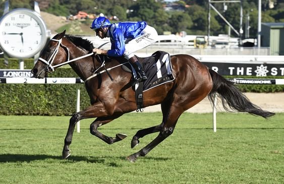 man riding a horse name Caviar in the field