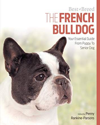 photo of a French Bulldog and with title - the French Bulldog, your essential guide from puppy to senior dog