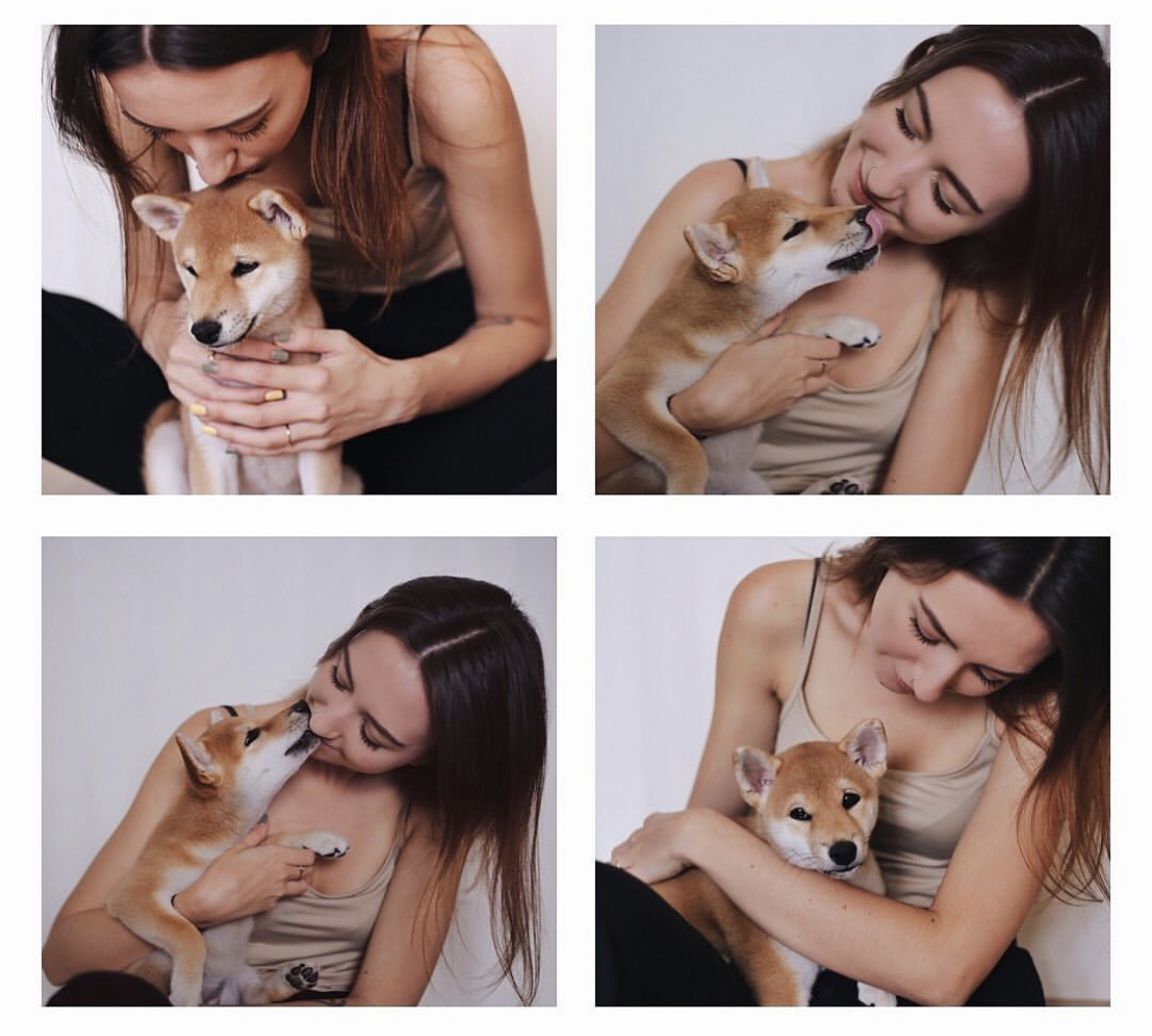 four photos of a woman with a Shiba Inu puppy