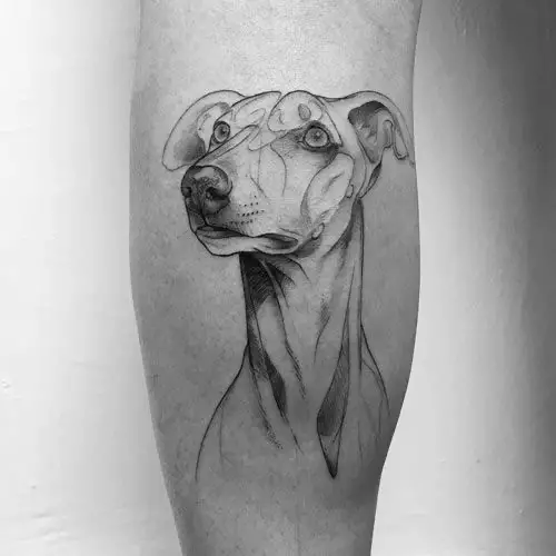 Greyhound face looking up tattoo on the leg