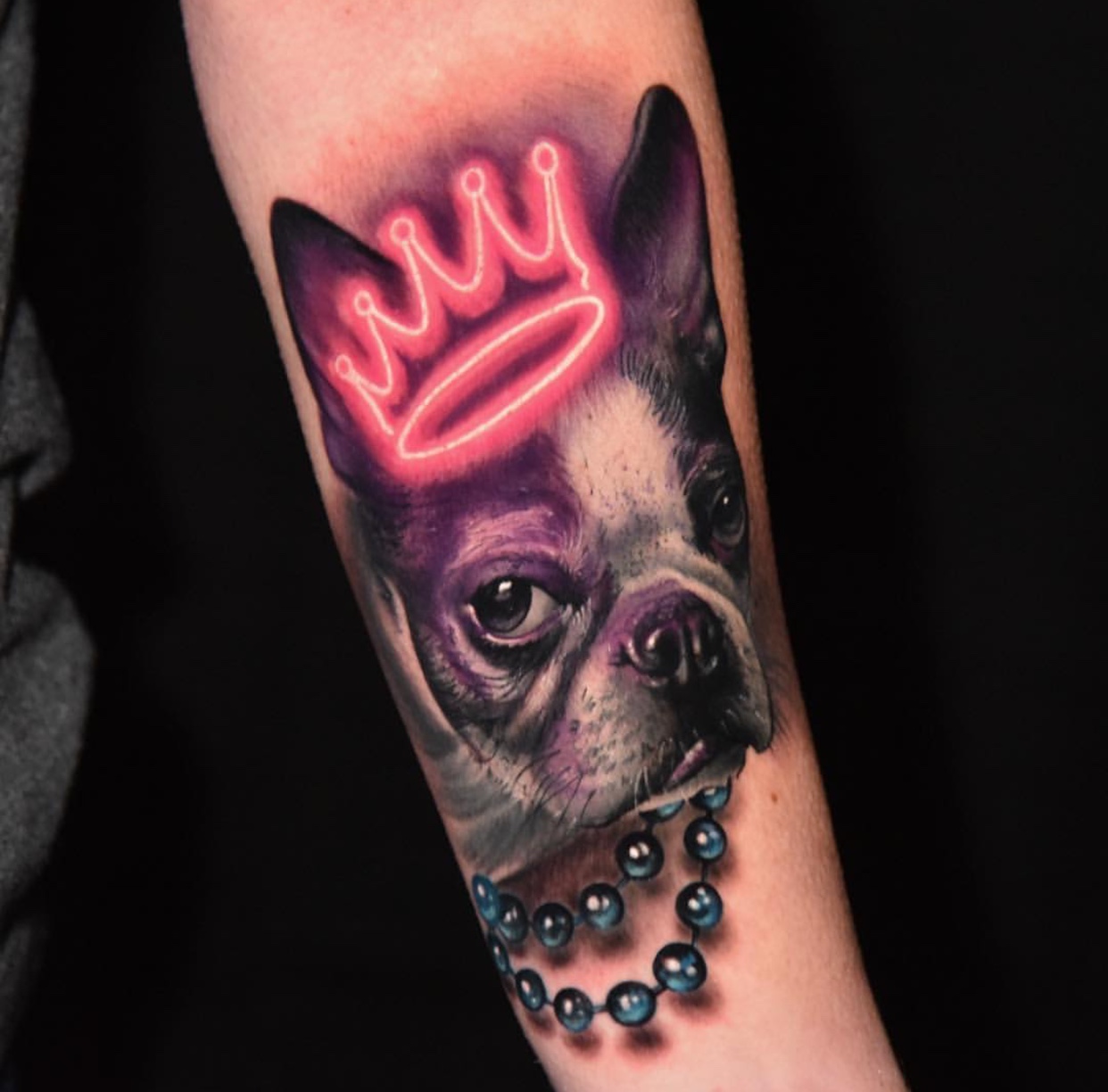 3D realistic Boston Terrier wearing a neon red crown tattoo on forearm