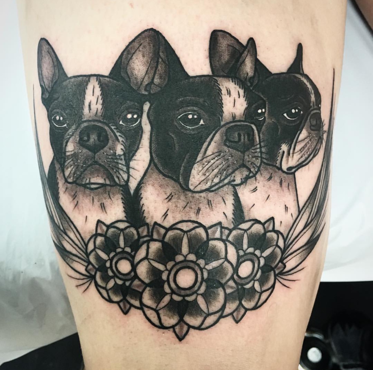 three black and white Boston Terriers with flowers and leaves tattoo