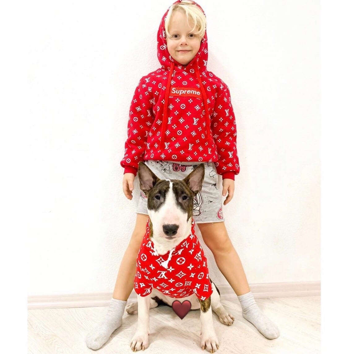A Bull Terrier sitting on the floor in between the legs of a boy standing behind him