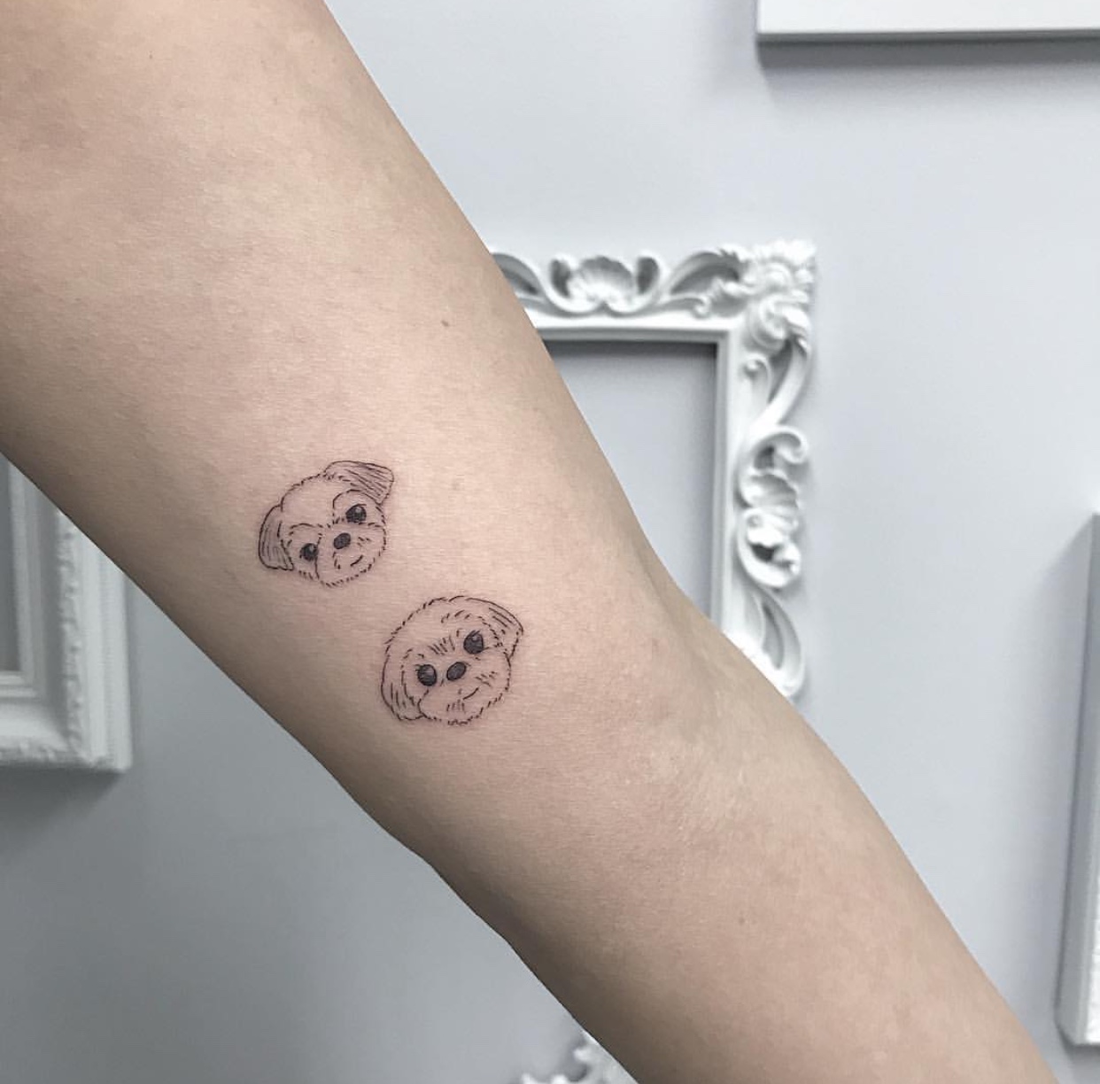 two faces of Shih Tzus tattoo on the arm