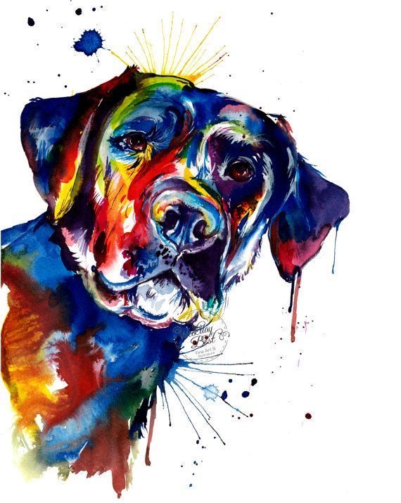 Labrador Retriever with neon yellow, orange, blue and red splash of colors with a white background