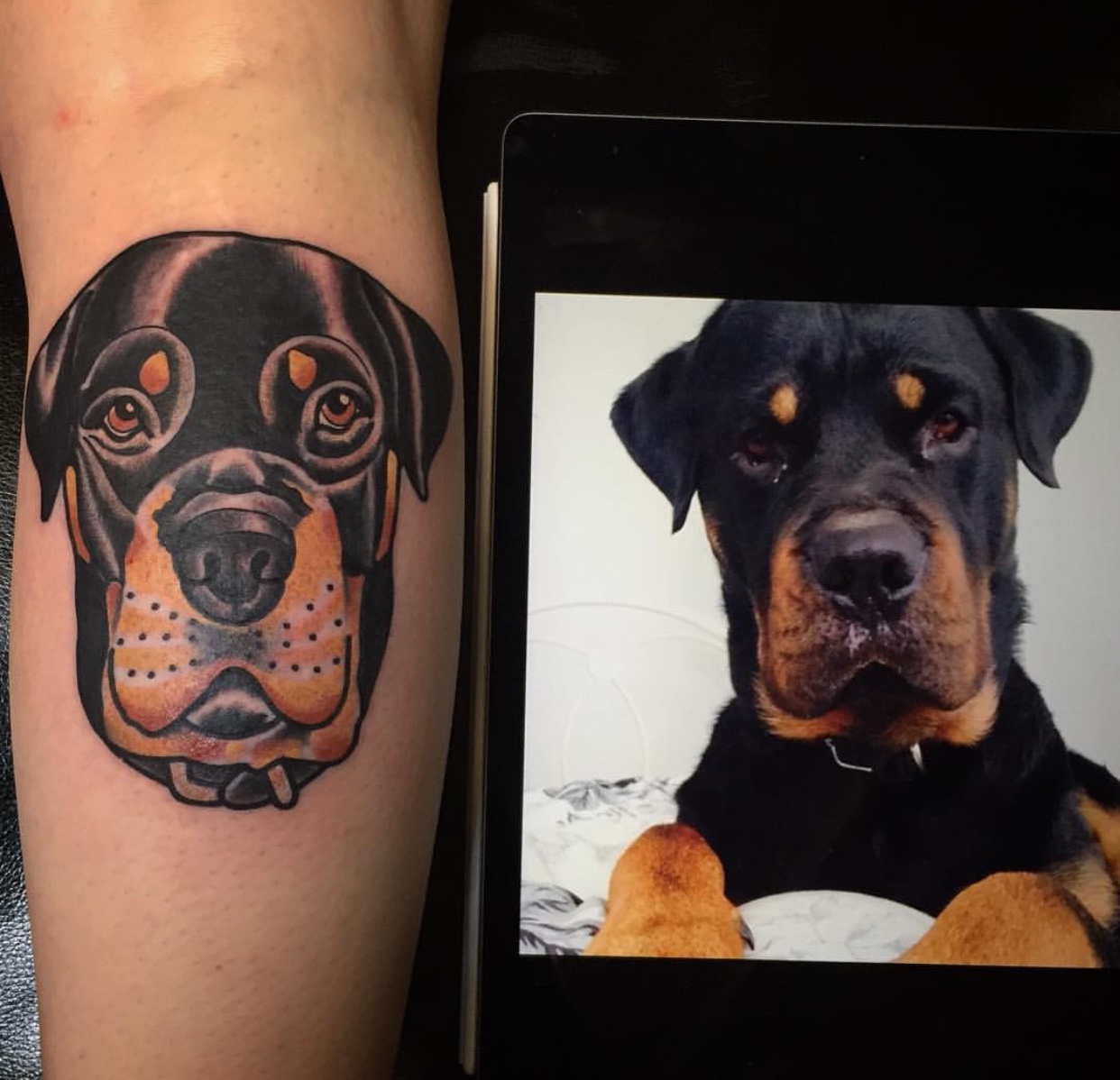 a photo of a Rottweiler in an ipad beside a tattoo of its face on the leg