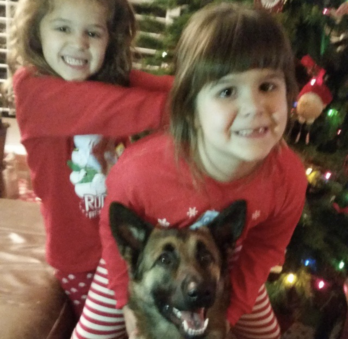 two girls with a German Shepherd in front of the Christmas tree