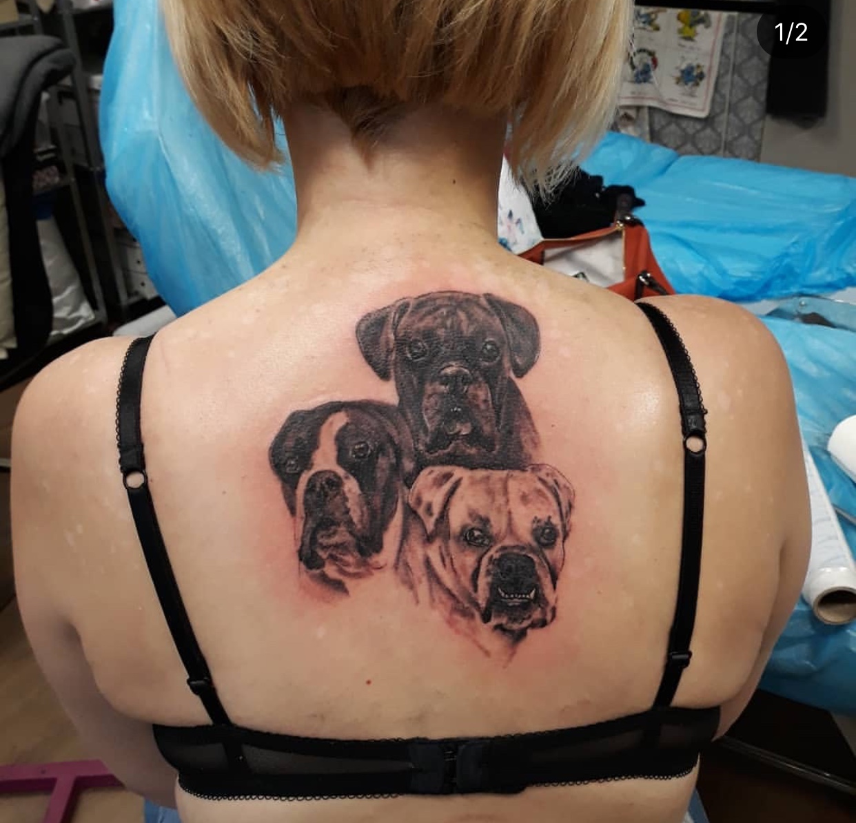 black and gray three Boxers tattoo on the back of the woman